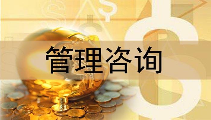 技术之一,注册公司实缴